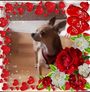 Meet your Posher, Angie